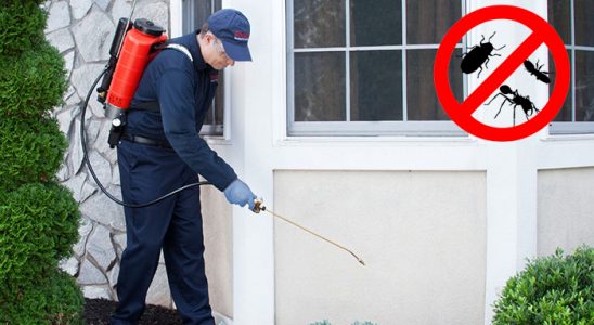 Savaştepe Uçan Haşere İlaçlama böcek ilaçlama ve haşere kontrolü — ilaclama-tr.com